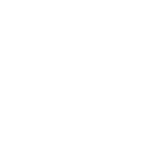 dani-volpe-logo-white