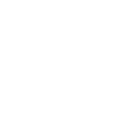 dani-volpe-logo-white