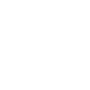 mari-vieira-logo-white