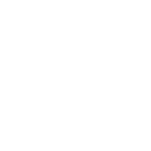 mari-vieira-logo-white