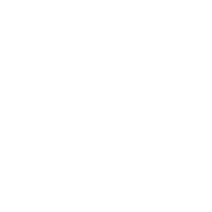 meat-boutique-logo-white