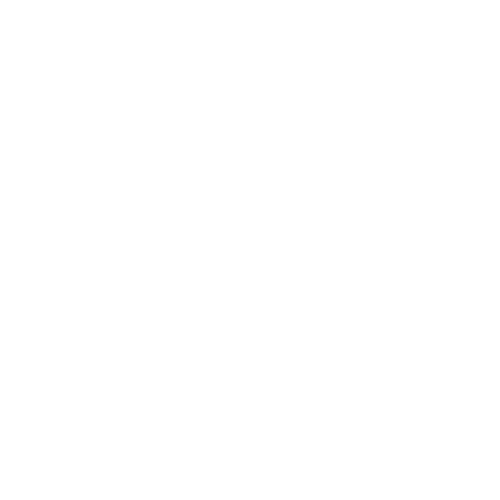 rodoserv-logo-white